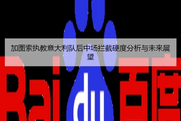 加图索执教意大利队后中场拦截硬度分析与未来展望
